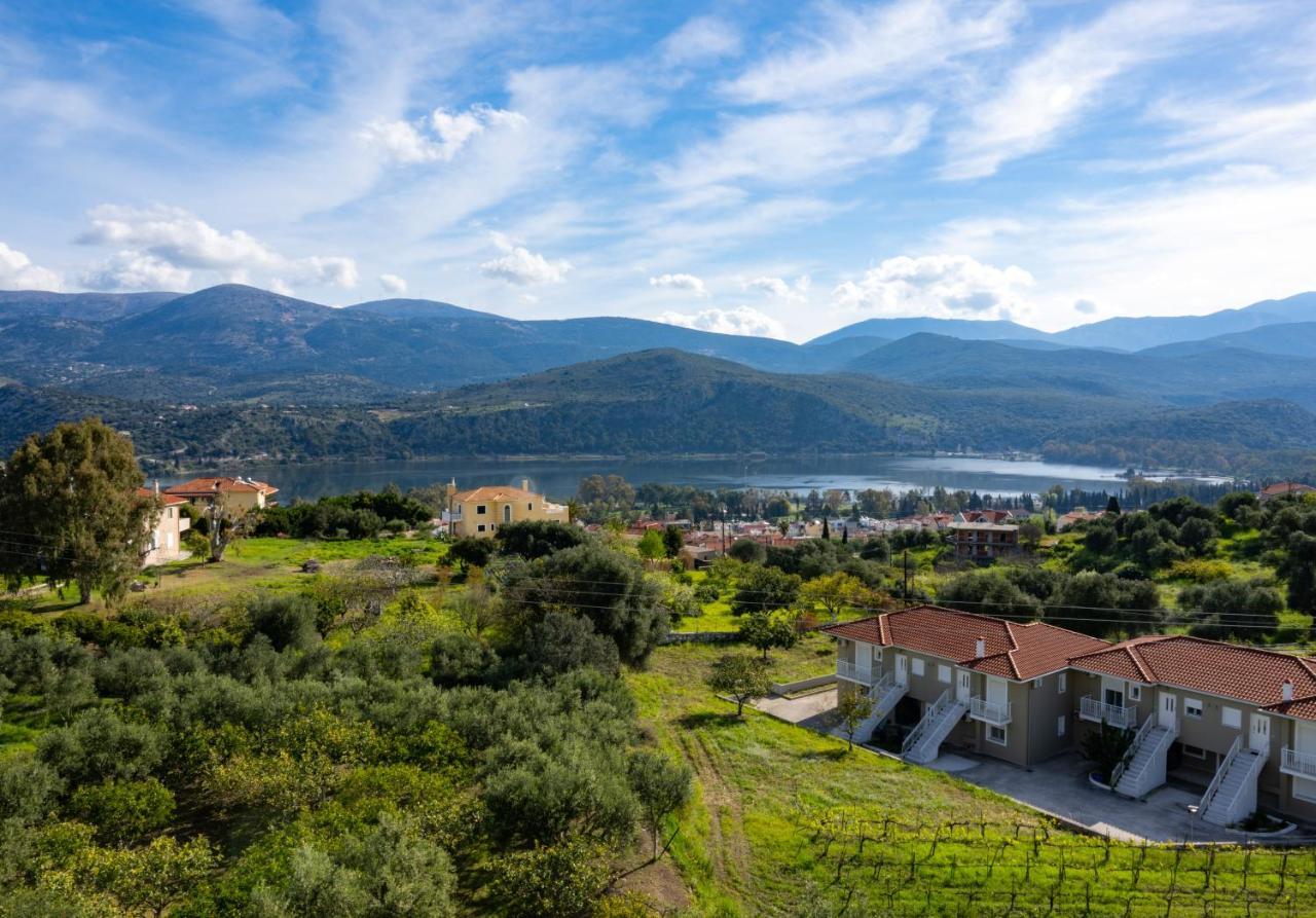 Apaggio Di Argostoli Apartments - Private Parking & Sea View المظهر الخارجي الصورة